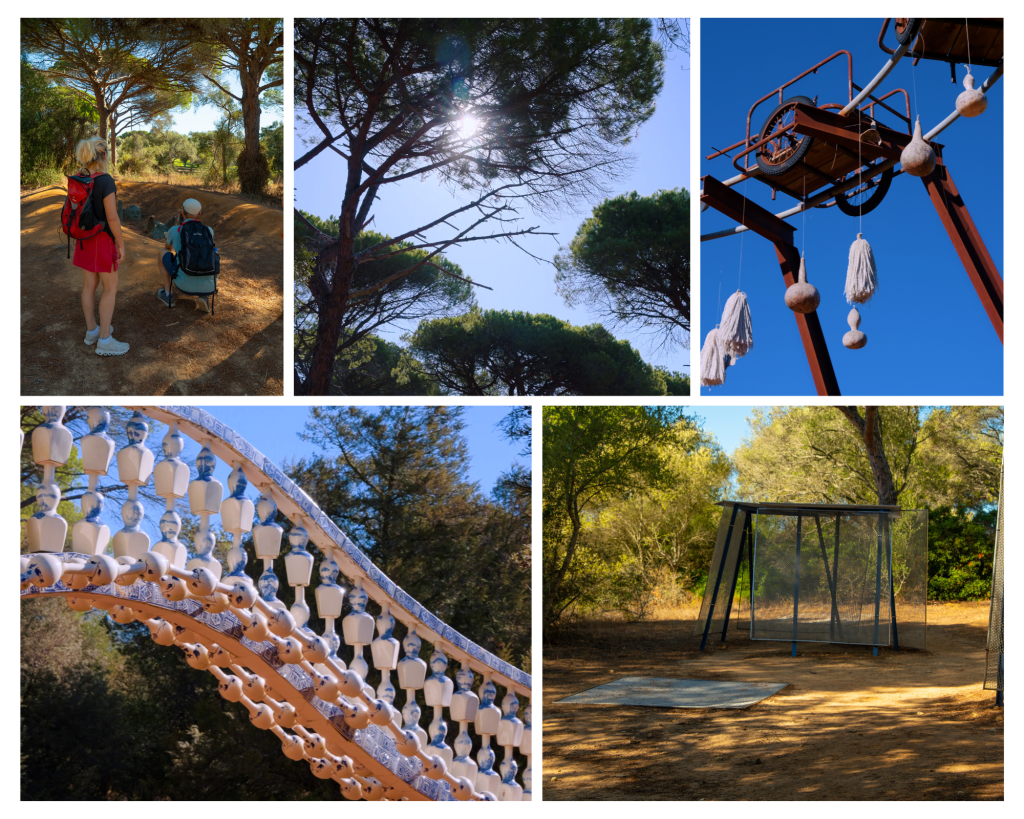 Arte contemporáneo al aire libre en NMAC
